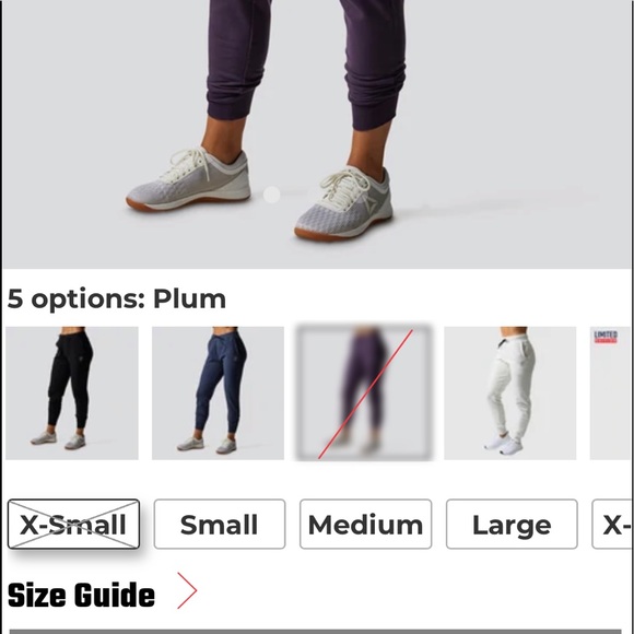 COPY - Born Primtive NWT Female unmatched Joggers, Sold Out in Plum XS - Picture 3 of 6
